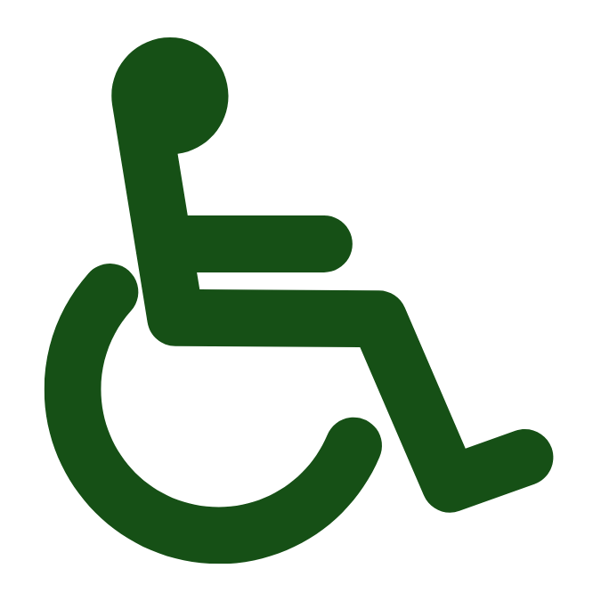 Ensure Accessibility for All Participants